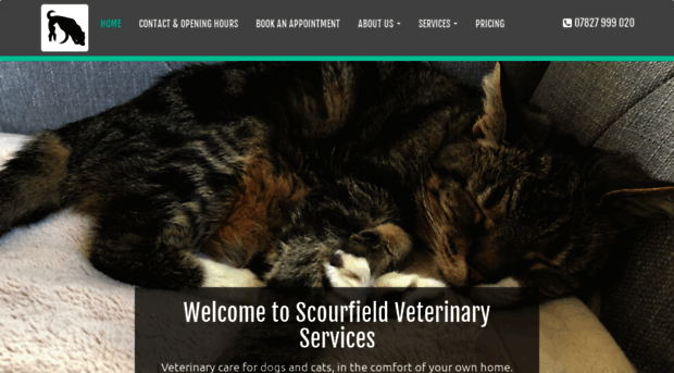 scourfieldvetservices.co.uk