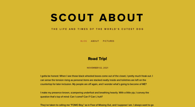 scoutabout.dog