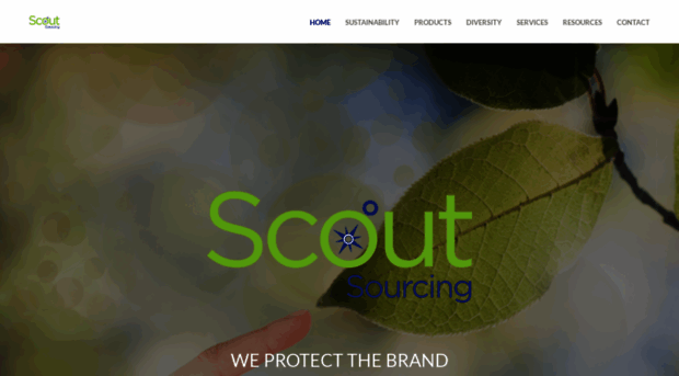 scoutsourcinginc.com