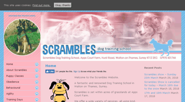 scramblesdts.com