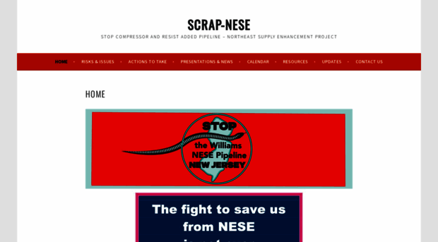 scrap-nese.org