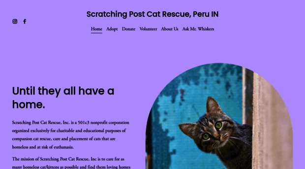 scratchingpostcatrescue.com