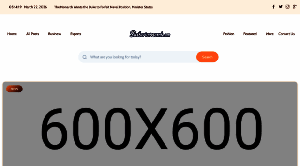 scriborabloomecho.com