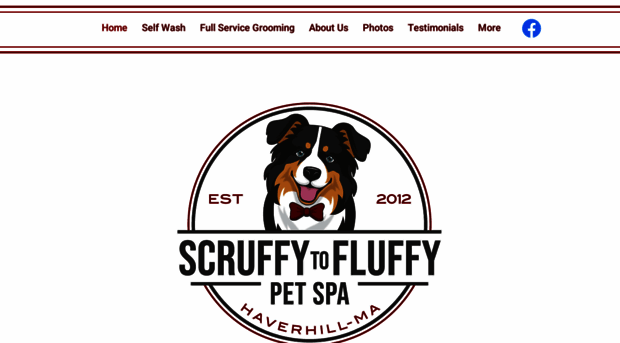 scruffytofluffypetspa.com