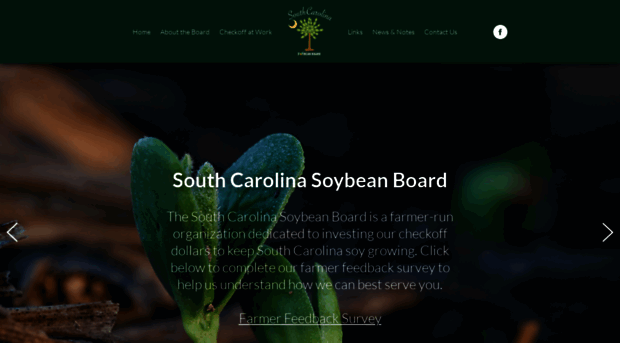 scsoybeans.org