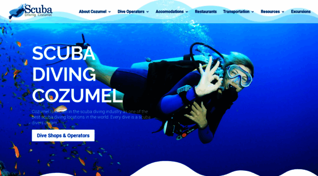 scuba-diving-cozumel.com