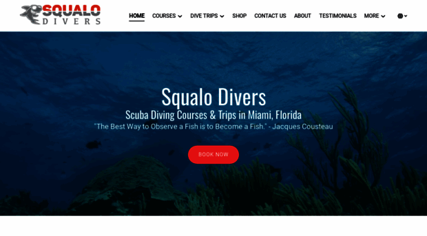 scubadivinginmiami.com