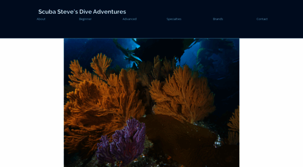 scubastevesdiveadventures.com