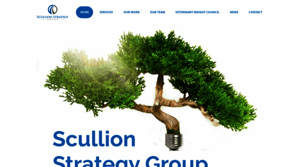 scullionstrategygroup.com