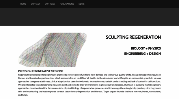 sculptingregeneration.org