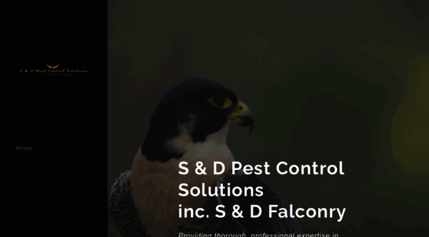 sdfalconry.com