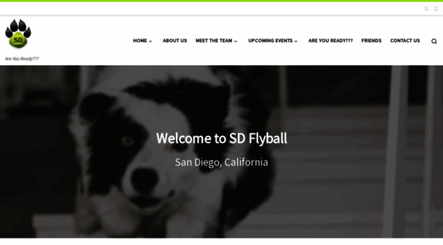 sdflyball.com