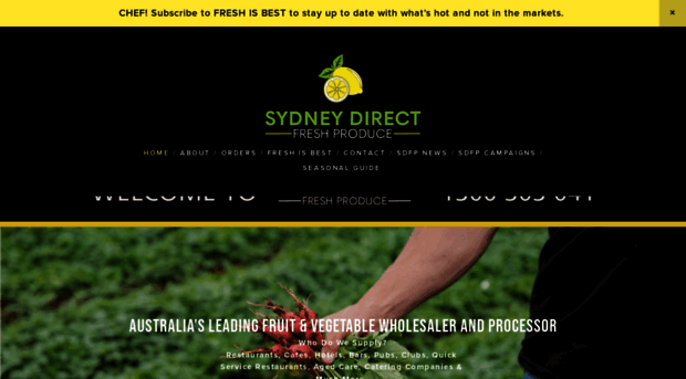 sdfp.com.au