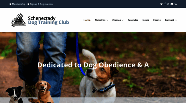 sdtcdogs.com