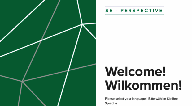 se-perspective.ch