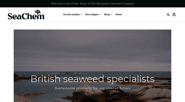 sea-chem.co.uk