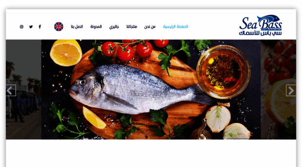 seabassfish.com