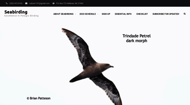 seabirding.com