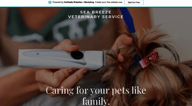 seabreezevet.com