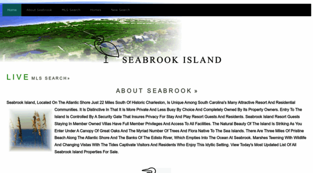 seabrook-luxuryhomes.com