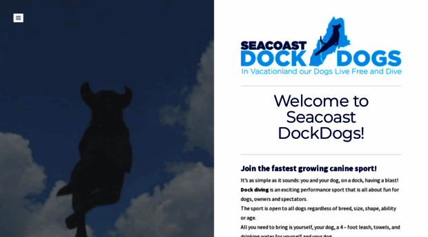 seacoastdockdogs.com