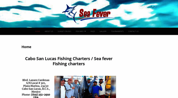 seafeversportfishing.com