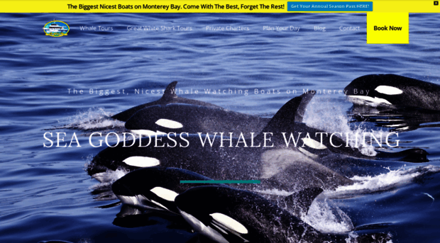 seagoddesswhalewatch.com