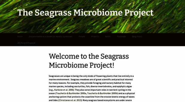 seagrassmicrobiome.org