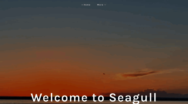 seagullbayyc.com