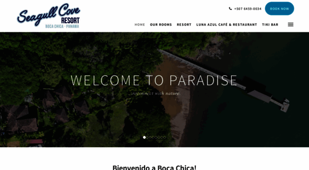 seagullcoveresort.com