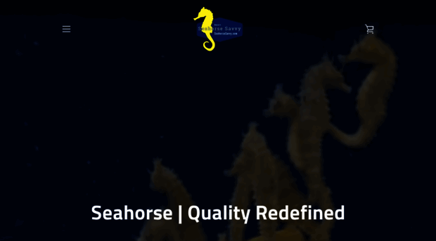 seahorsesavvy.com