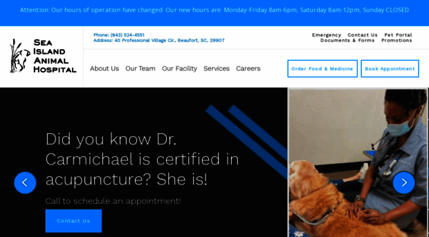 seaislandanimalhospital.com