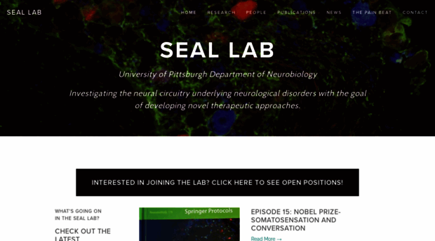 seal-lab.squarespace.com