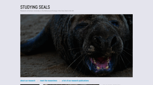 sealbehaviour.wordpress.com