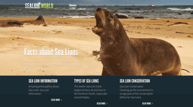 sealion-world.com