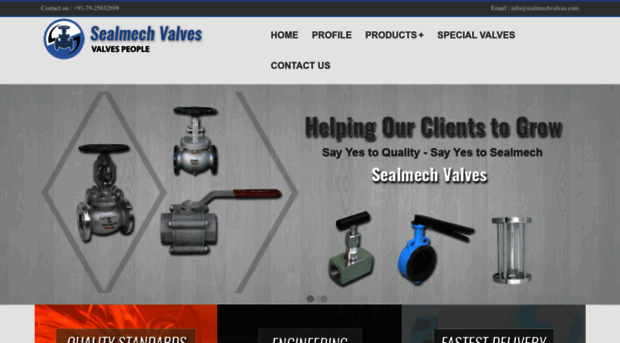 sealmechvalves.com