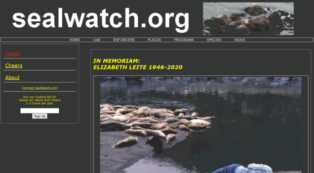 sealwatch.org