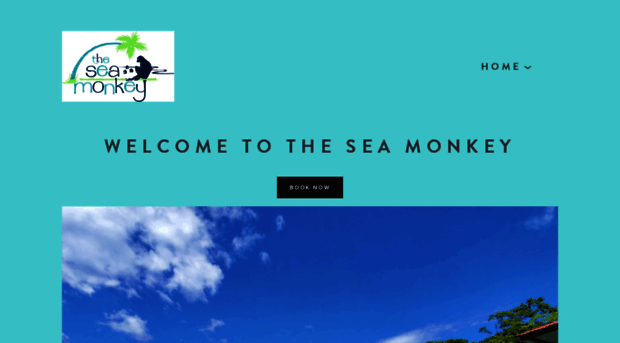 seamonkeybocasdeltoro.com