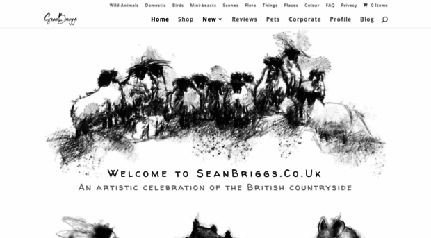 seanbriggs.co.uk