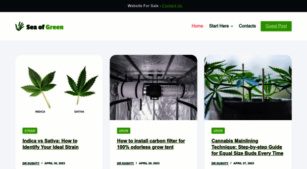 seaofgreenevents.com