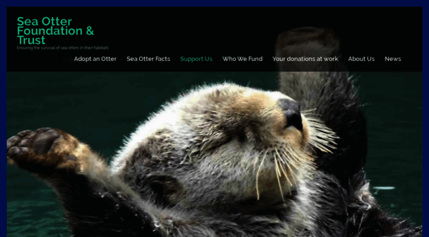 seaotterfoundationtrust.org
