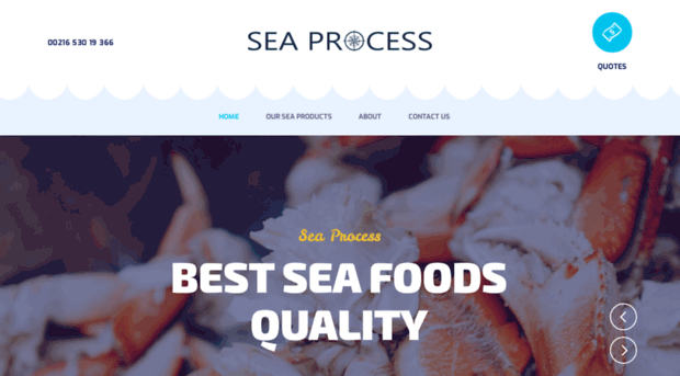 seaprocess.com