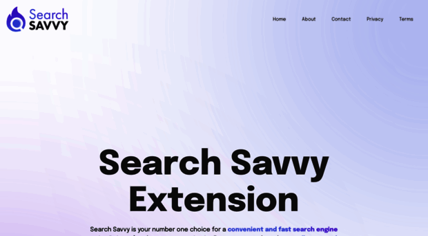 searchsavvyes.com