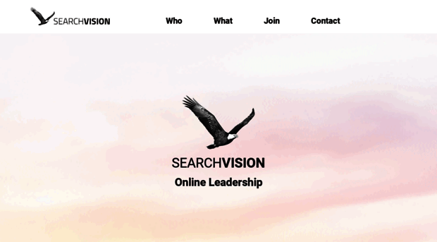 searchvision.com