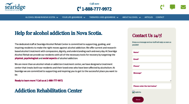 searidgealcoholrehab.com