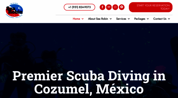 searobincozumel.com