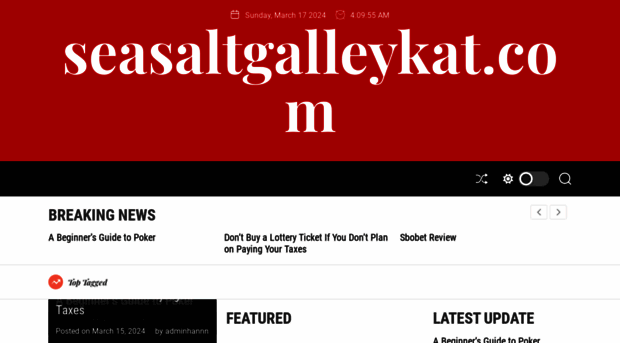 seasaltgalleykat.com