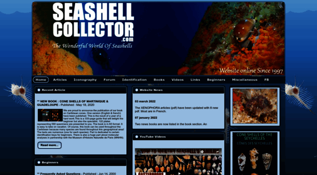 seashell-collector.com