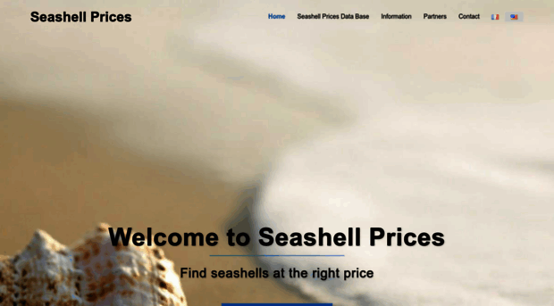 seashell-prices.com