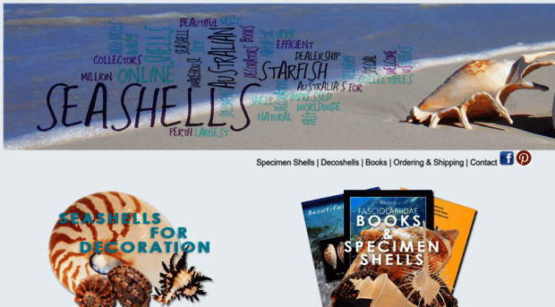 seashells.net.au